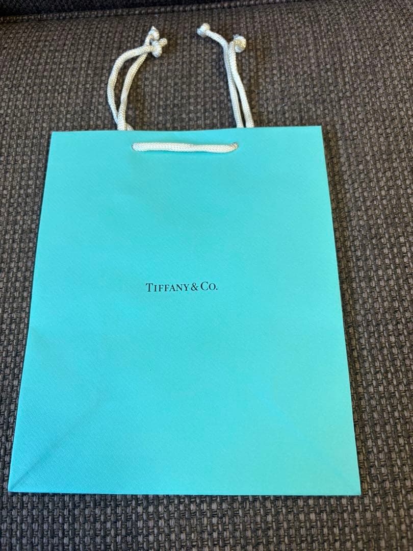 現行品新品未使用ティファニーショッパー紙袋 （20x25 cm）100枚セット