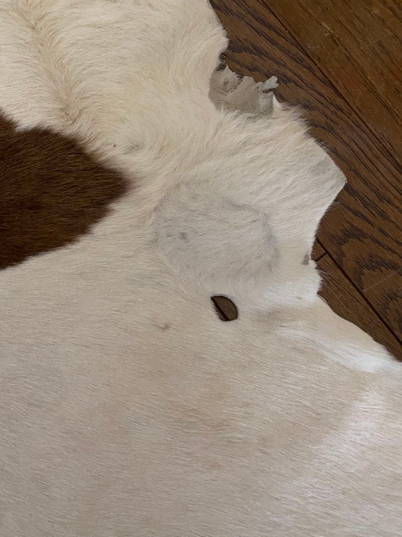 天然皮革 牛毛皮 レザー カーペット ラグマット　カウハイド　カウラグ