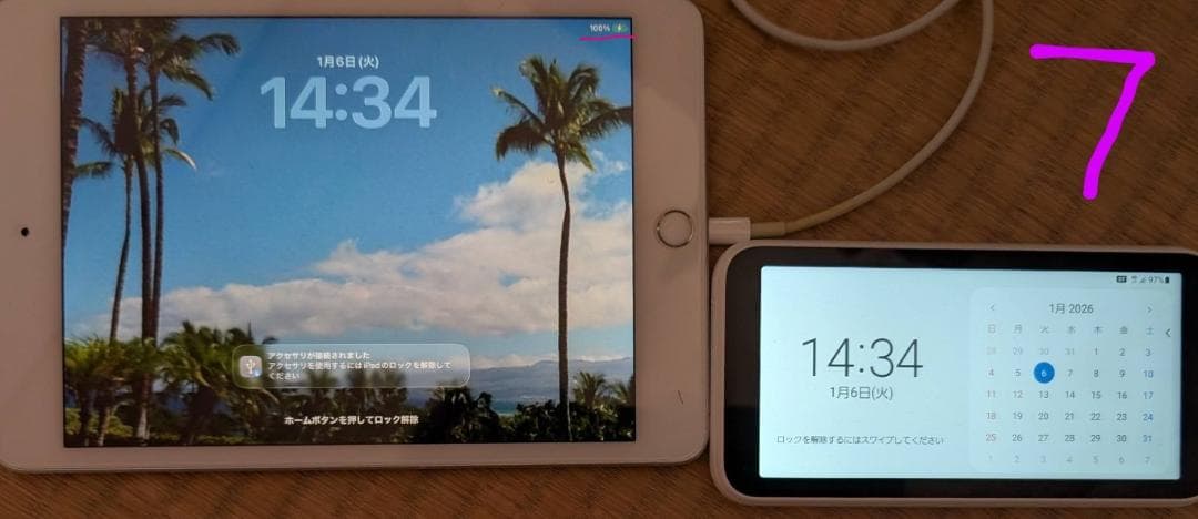 iPad mini 第5世代 64GB Wifiモデル(MUQX2J/A)