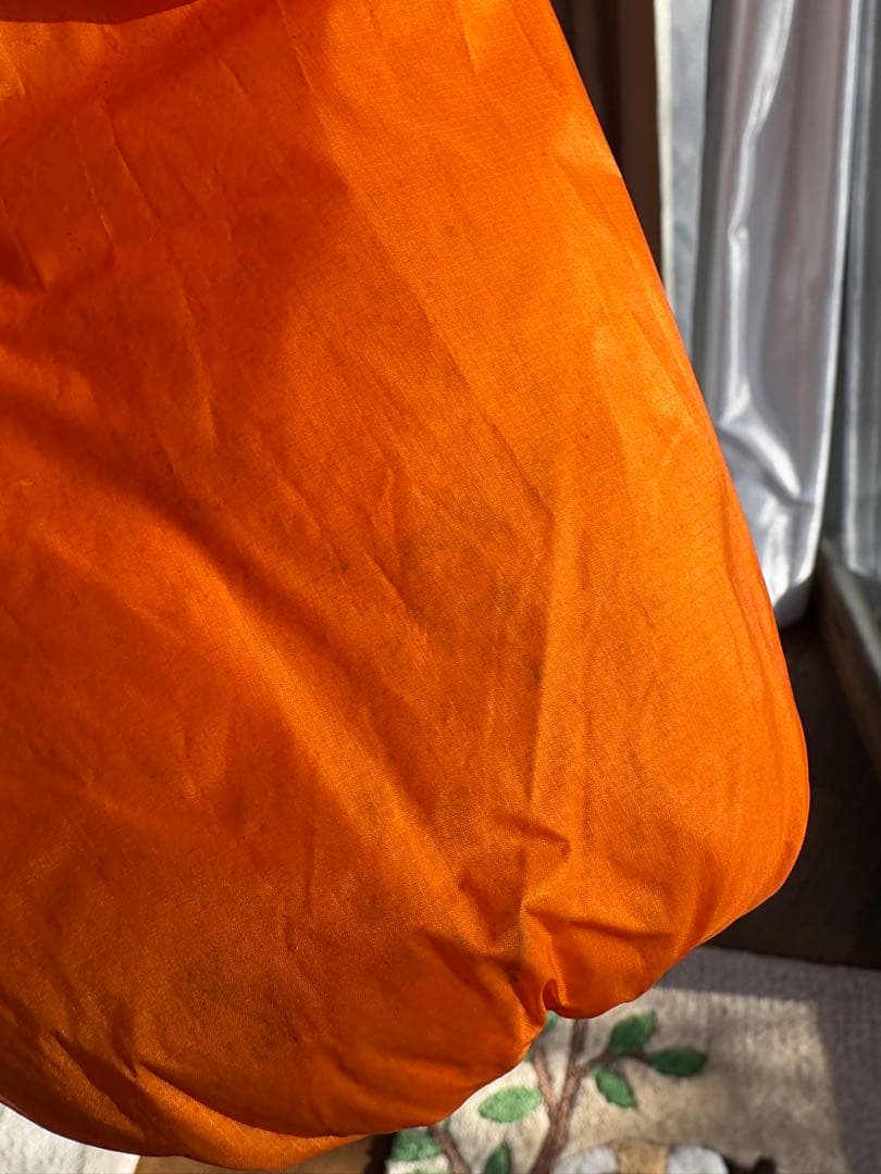 Patagonia / DAS Parka　ダスパーカー パタゴニア　Lサイズ