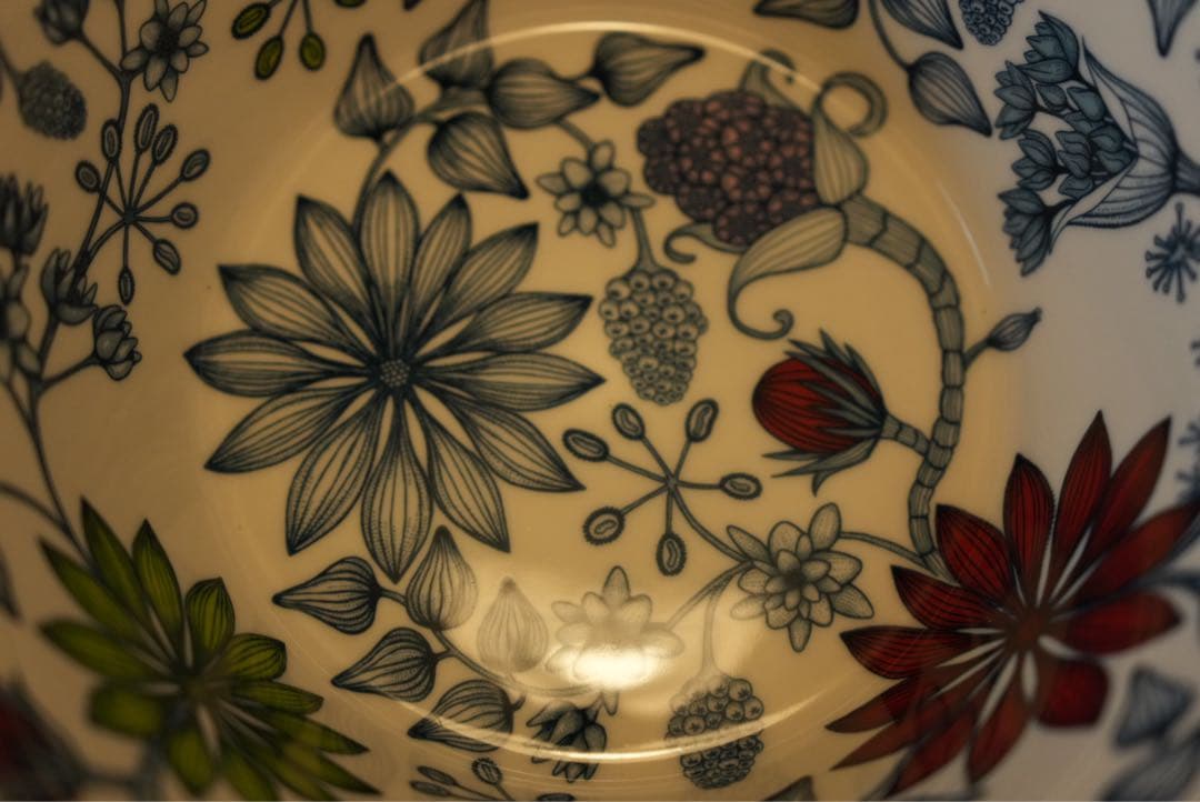 【新品未使用】アラビア　ルノ　サマーレイ　ボウル　27cm