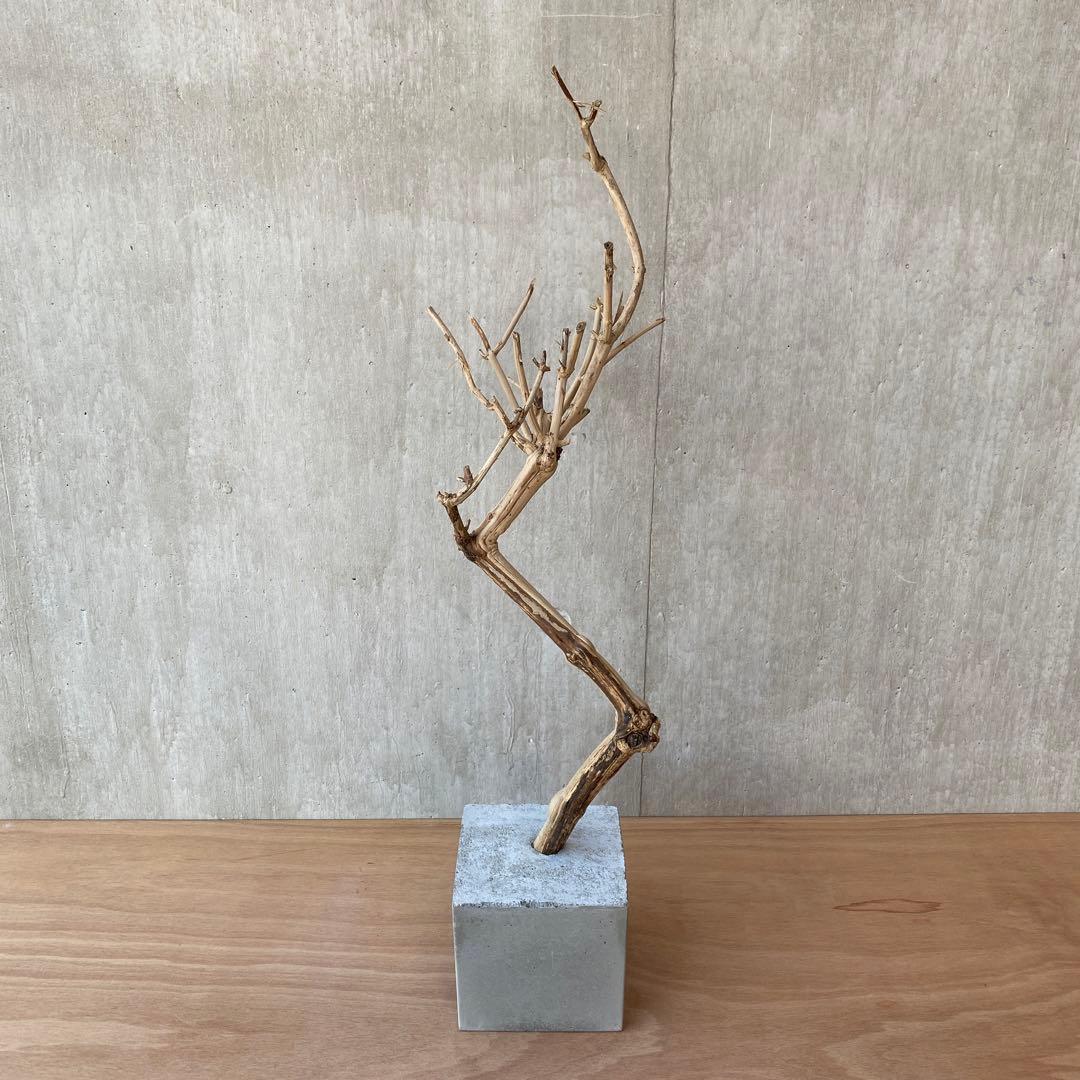 【コンクリート盆栽 流木オブジェ】ディスプレイ アート インテリア 鍵 爬虫類