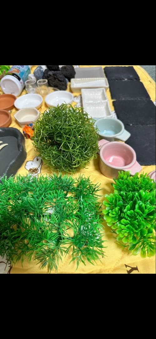 爬虫類・両生類用飼育セットまとめ売り