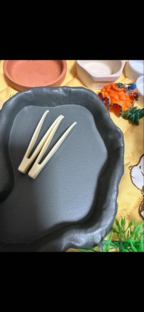 爬虫類・両生類用飼育セットまとめ売り