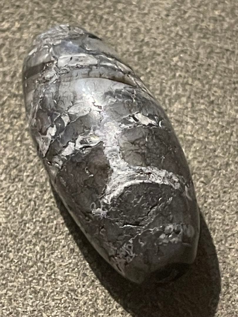 出土　双亀甲天珠