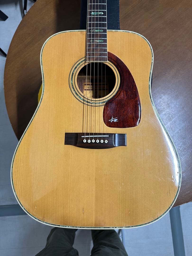 義*様 美品❗️タケハルギターWT-300 弾きやすさ抜群‼️