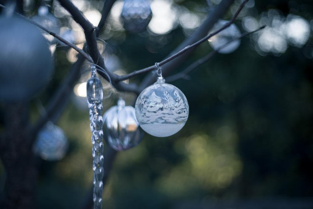 光学美品！隠れた銘玉！CONTAX Planar 50mm F1.7 AEJ