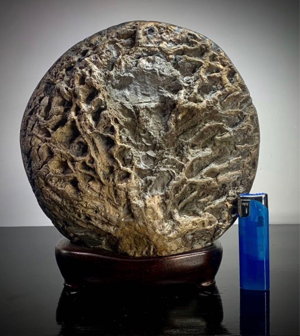 4190 メロン馬蹄石 盆栽骨董盆石鑑賞石観賞石中国古玩古美術太湖石山水景石