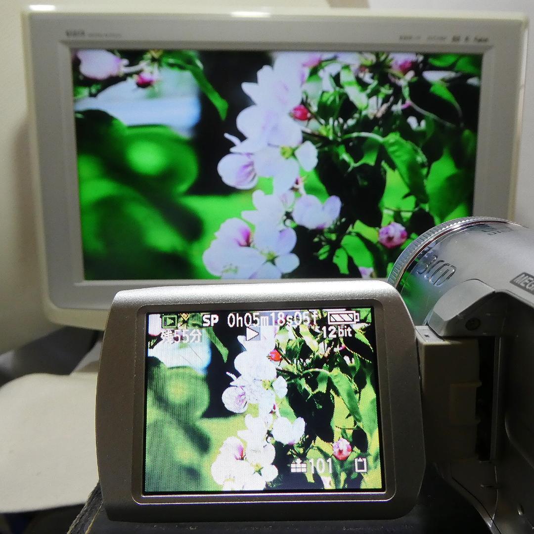 動作良好 パナソニック NV-GS250 MiniDVビデオDVDダビングに最適