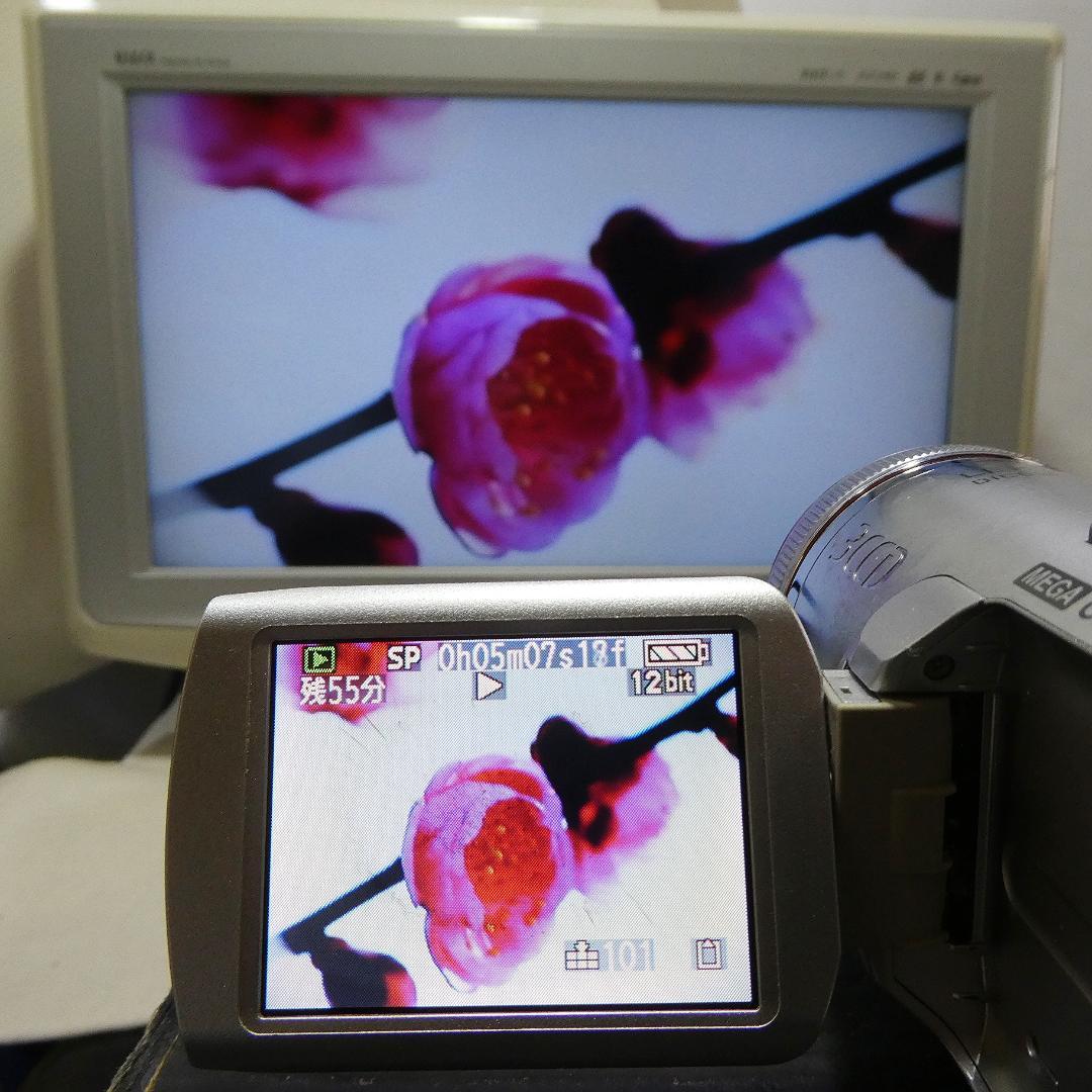 動作良好 パナソニック NV-GS250 MiniDVビデオDVDダビングに最適