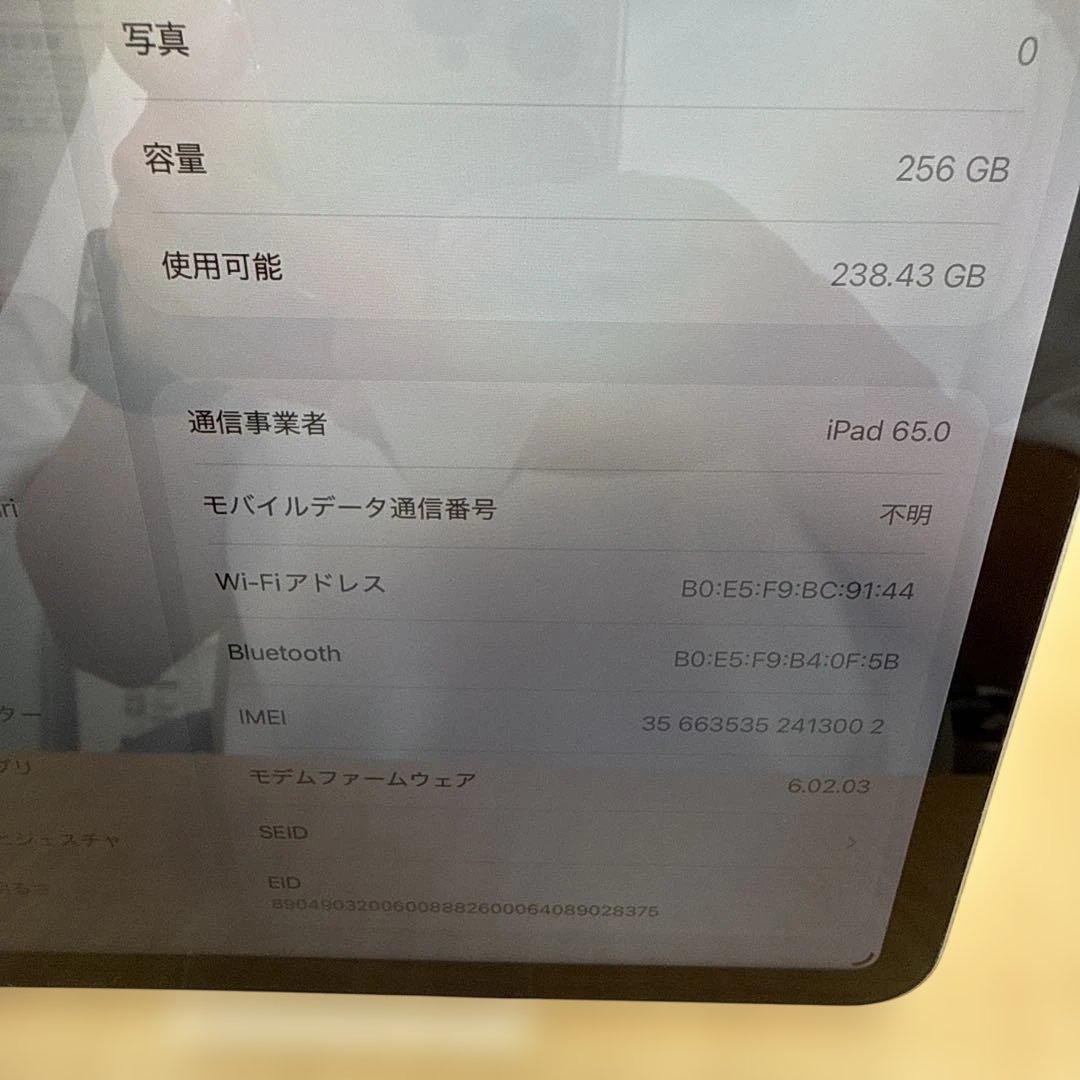 【ジャンク】iPad Pro 11インチ 第3世代 Cellular 256GB