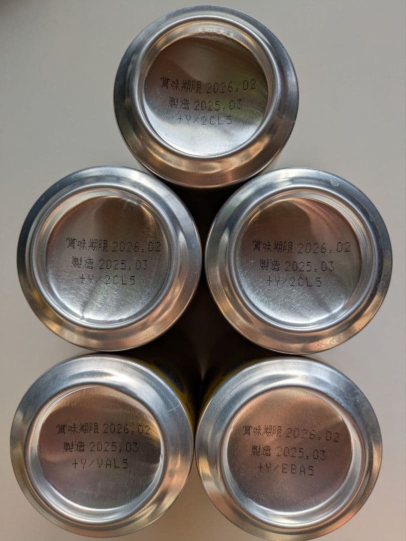 【賞味期限間近2025.12あり】エビスビール350ml 500ml各24本