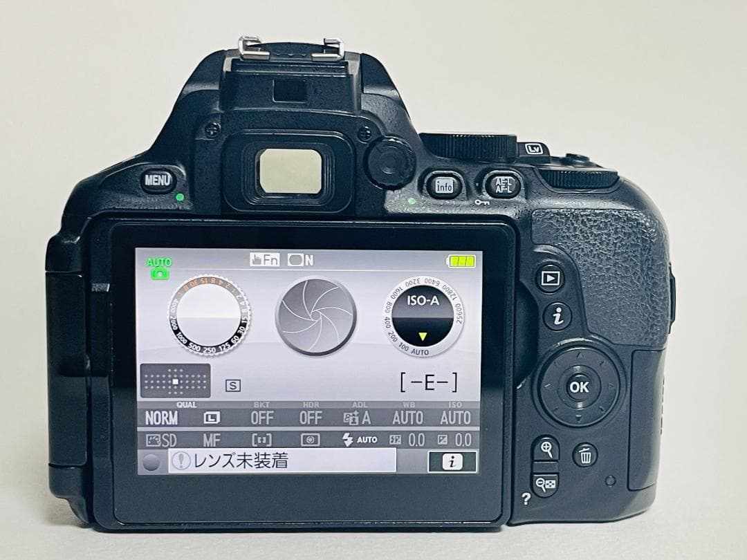 Nikon D5600 ☆Wi-Fi内蔵 ☆高性能一眼レフ☆自撮り可能☆ ニコン