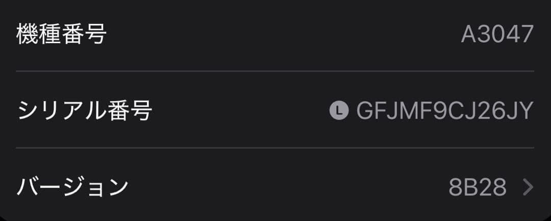 Apple AirPods Pro（第2世代）USB-C