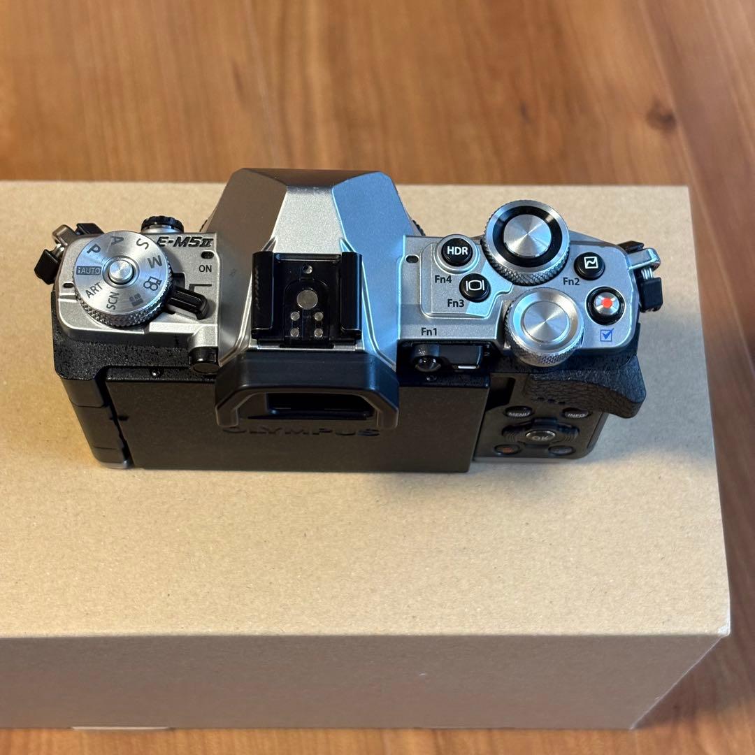 かきー【美品】OLYMPUS OM-D E-M5 MarkII シルバー