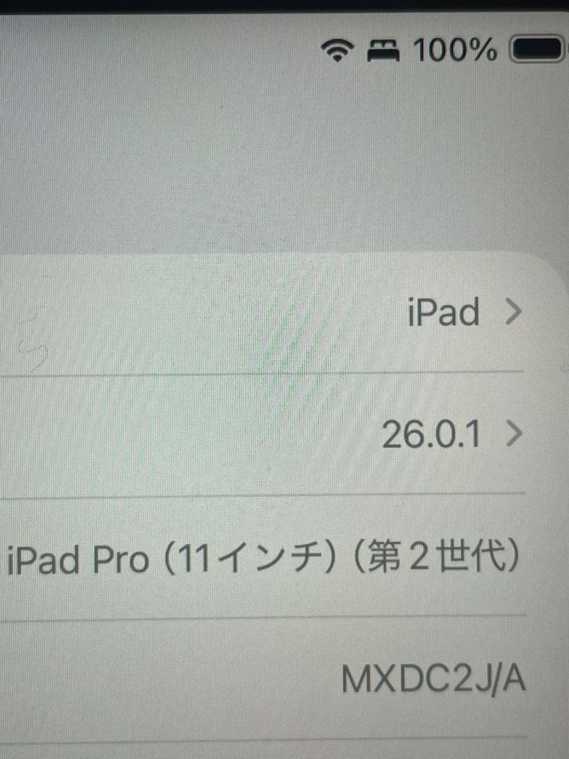iPadPro 11インチ 第2世代 256GB/Magic Keyboard他