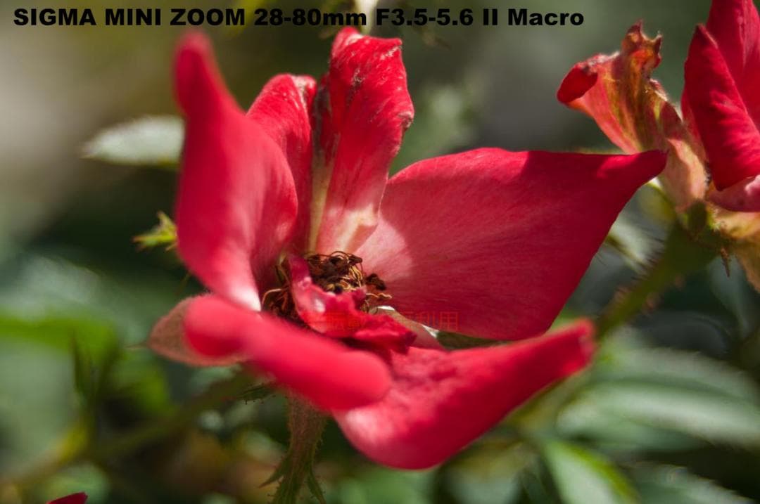 【完動並品・作例あり】PENTAX K20D +SIGMA AFズーム2本付き