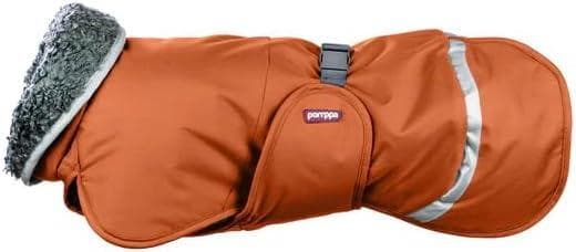 ポムッパ　ペルス　ペトロール　サイズ60