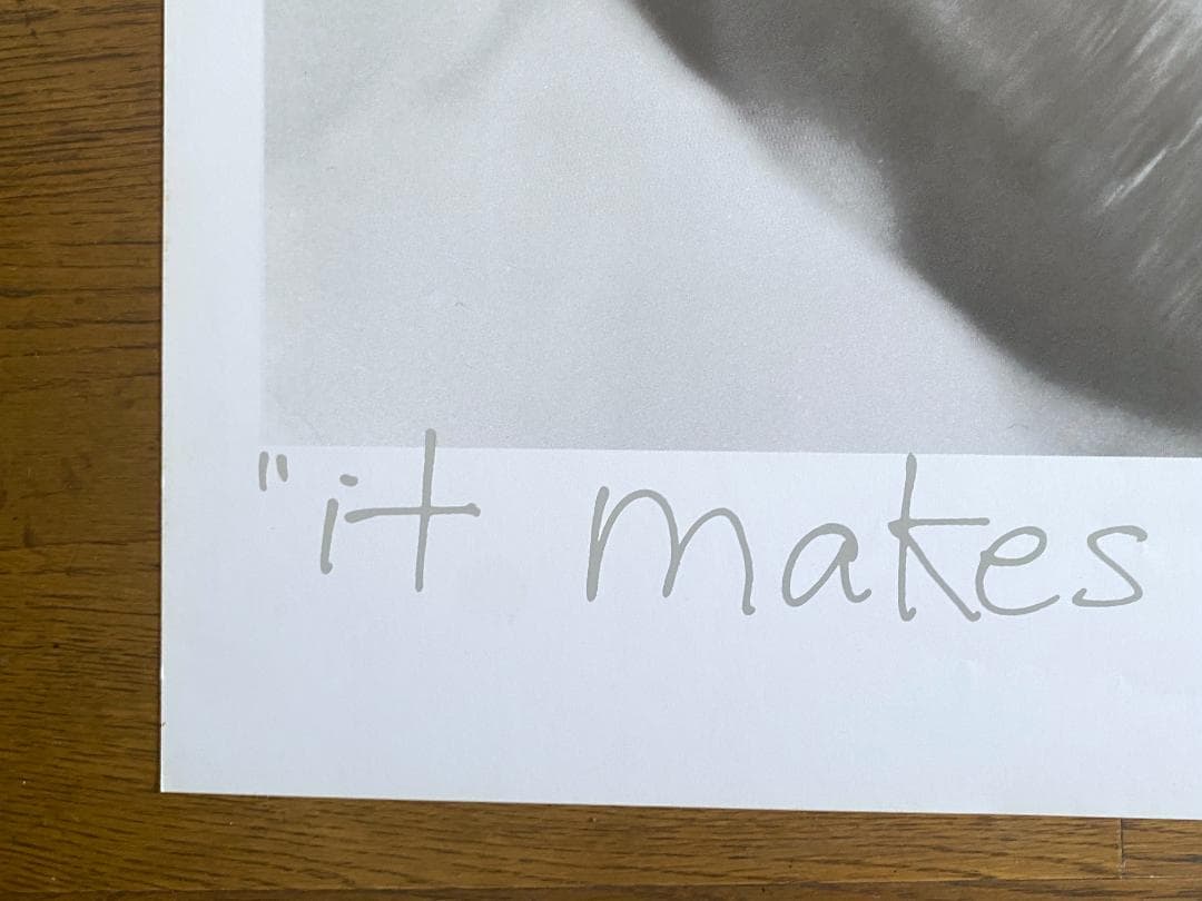 f*8様 ブルースウェバー「Broken Noses」ポスター