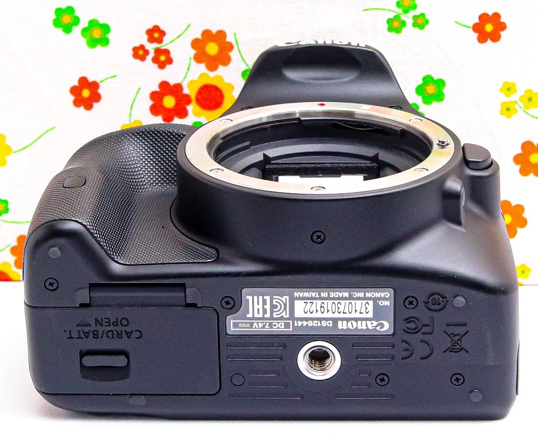 Canon EOS Kiss X7☆スマホ転送☆超小型☆間違いない一眼レフ