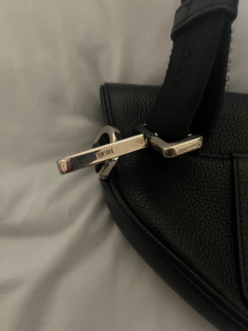 Dior サドルバック