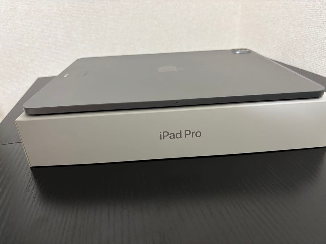 iPad Pro 12.9 inch 第6世代＋apple pencil