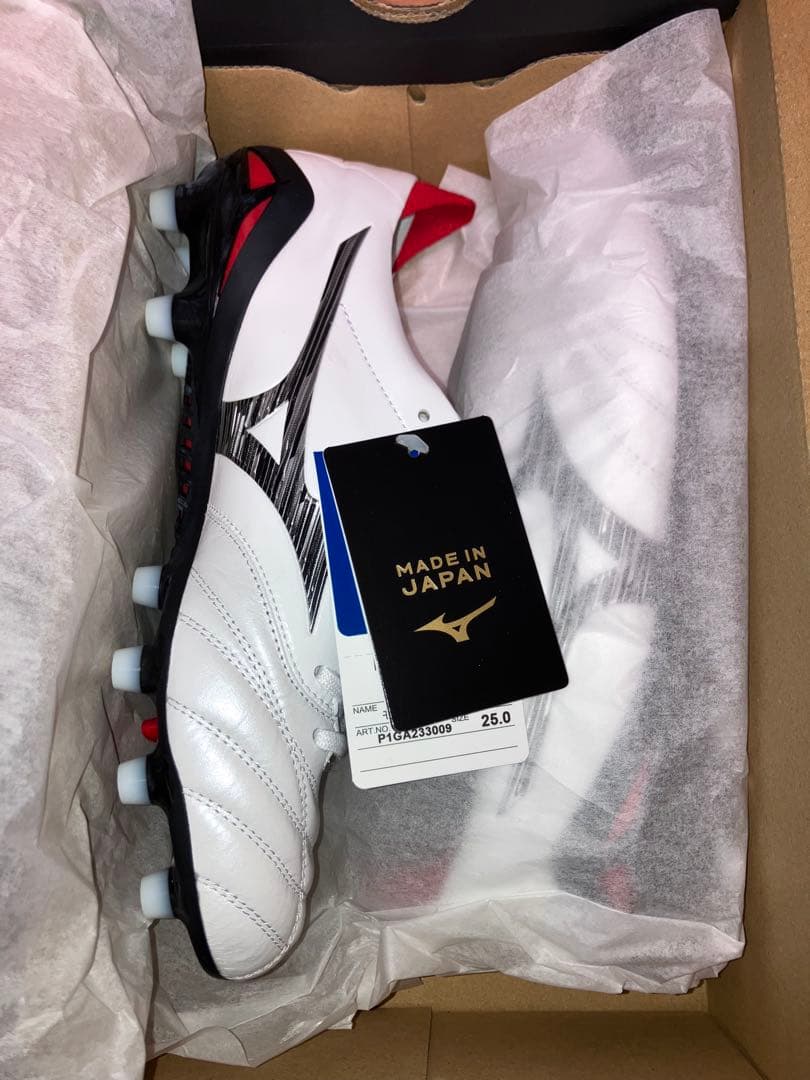 モレリアネオ4 JAPAN