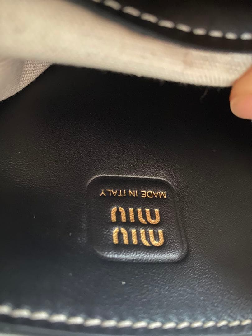 miu miuアイビー
