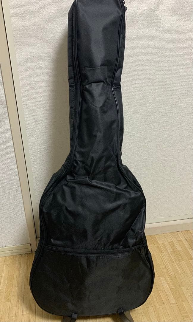 HONEY BEE 弦高調整済 初期調整済 F-15 初心者セット アコギ