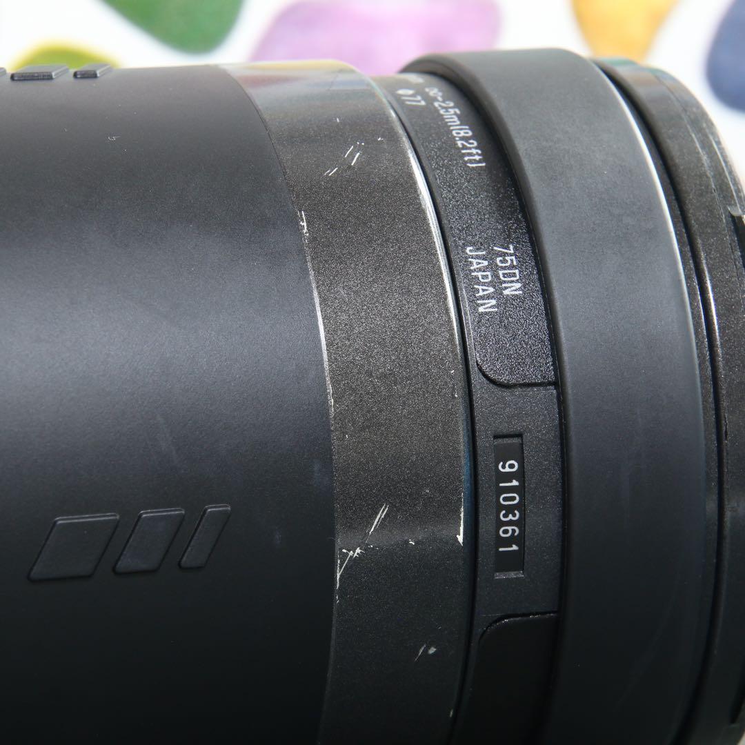 ♥︎◇高性能望遠レンズ♪ ◇TAMRON 200-400ｍｍ NIKON