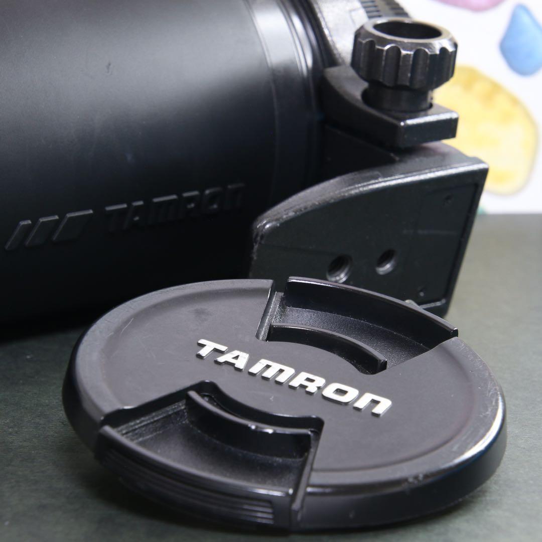 ♥︎◇高性能望遠レンズ♪ ◇TAMRON 200-400ｍｍ NIKON