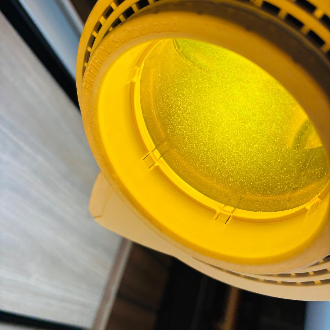 専用品　バイオプトロンプロ1 bioptron Pro1　美顔器