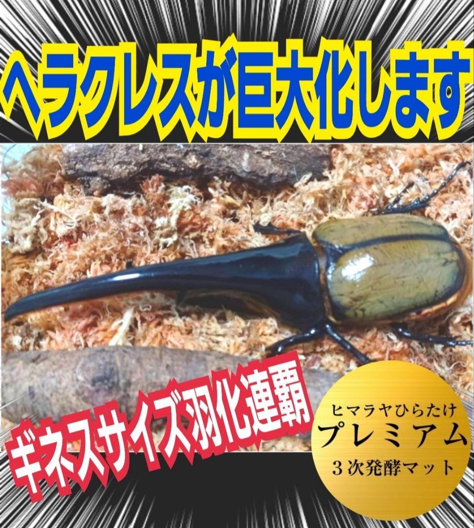 極上！プレミアム3次発酵カブトムシマット【6袋】特殊アミノ酸強化！ギネス級連発！