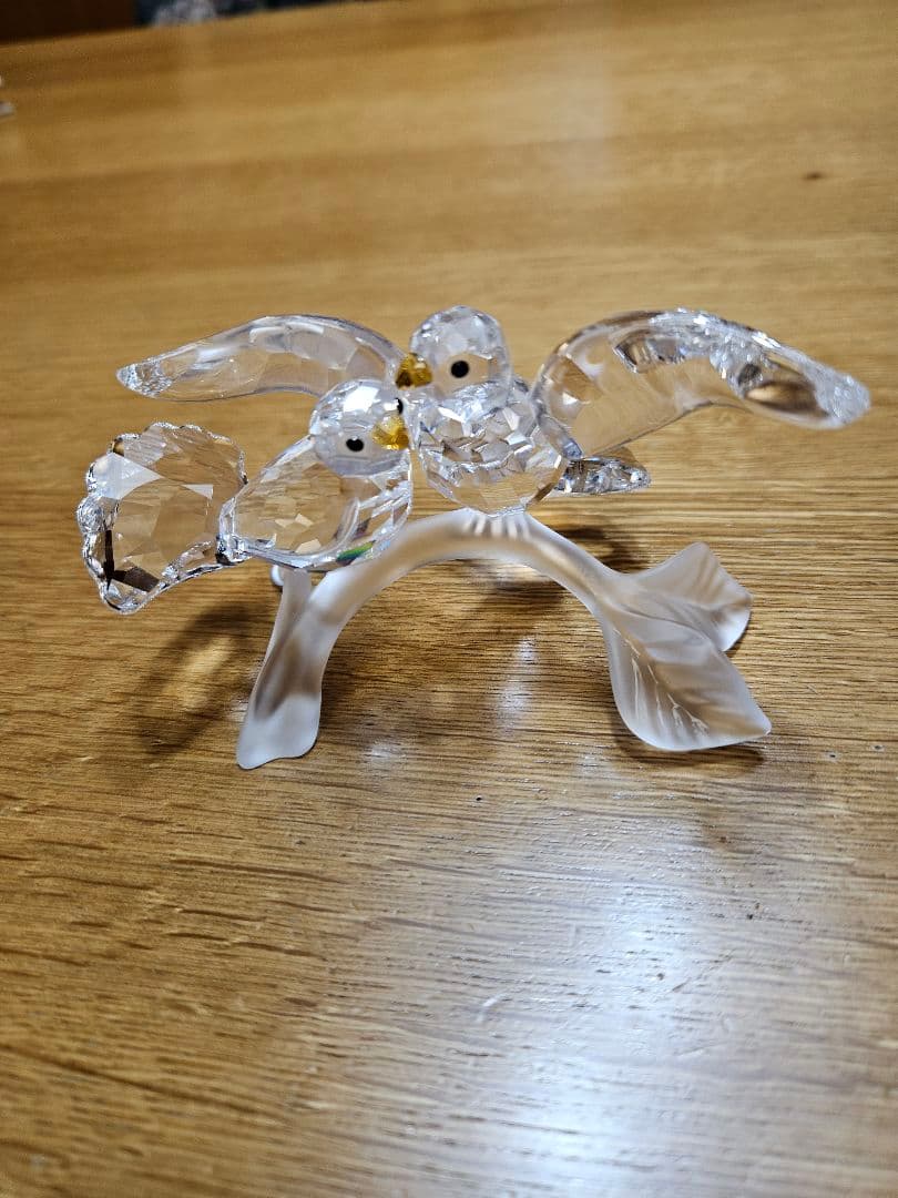 スワロフスキーのキジバト