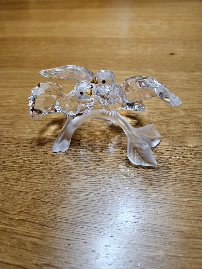 スワロフスキーのキジバト