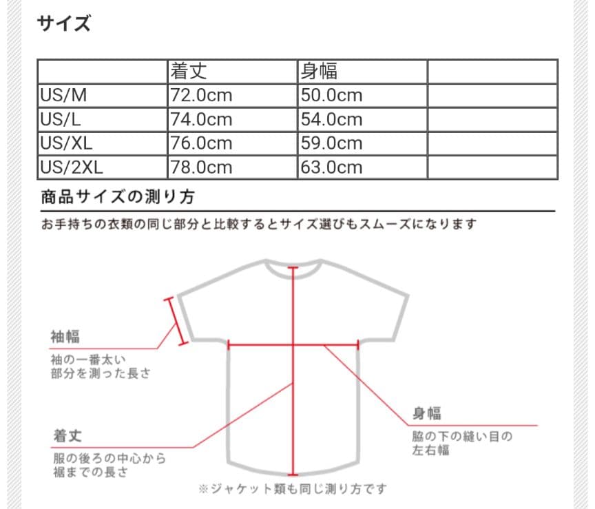 【海外XLサイズ】南アフリカ代表 スプリングボクス 2025 プレマッチシャツ