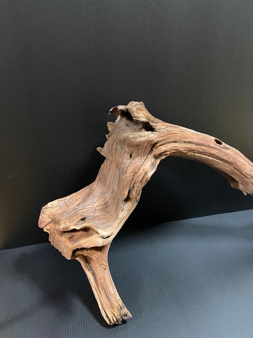 流木　大型　ホーンウッド　アクアリウム用