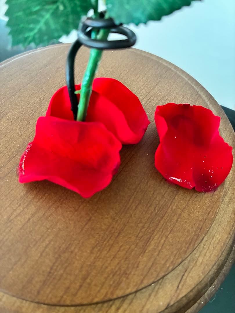 赤いバラのプリザーブドフラワー ガラスドーム