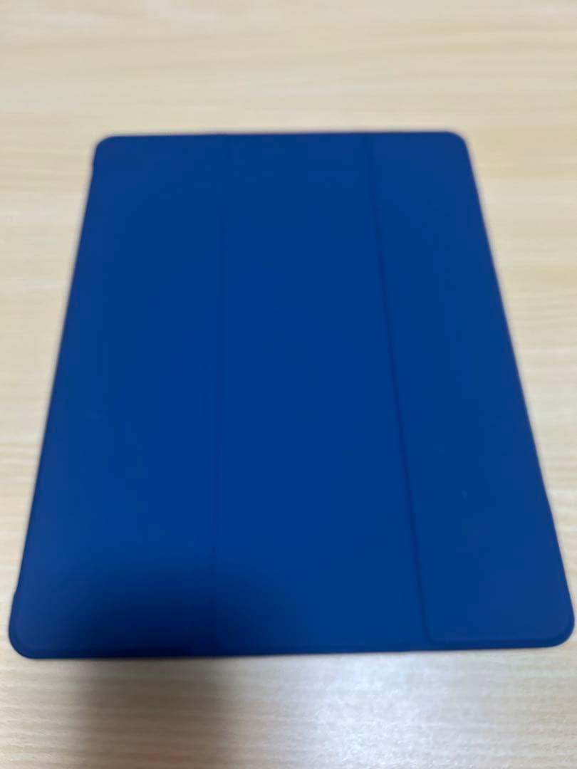 Apple iPad Pro 12.9インチ 第5世代スペースグレー＋おまけ付き