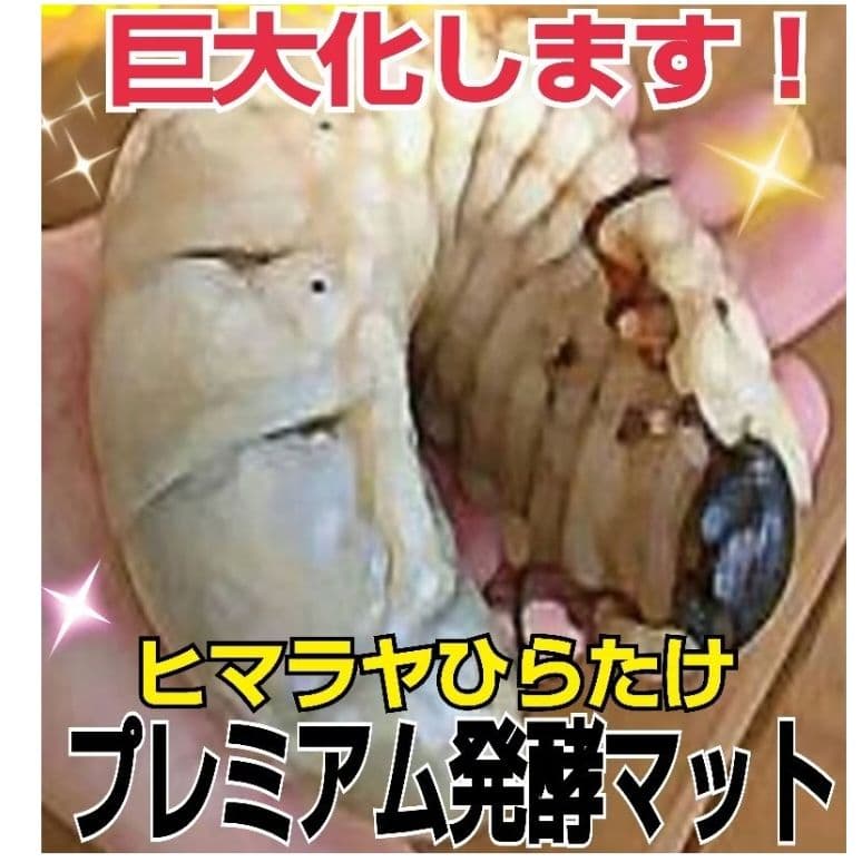 極上！プレミアム3次発酵ヘラクレスマット【80L】トレハロース・キトサン強化配合