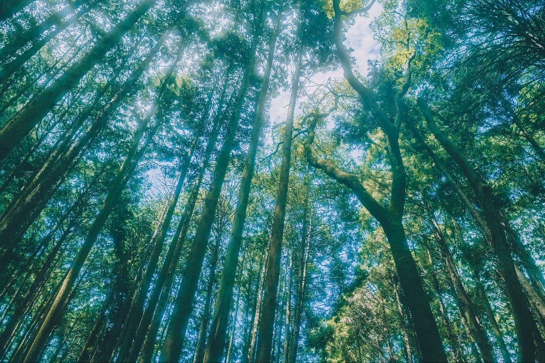 「【元箱付】LEICA Q2 完動品ブラックミスト・予備バッテリー付」作例有