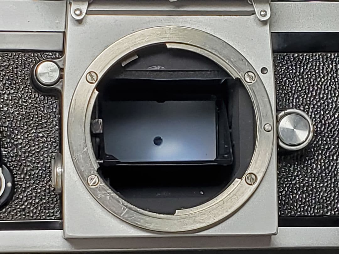 並上　Nikon Fフォトミック白 一眼レフボディーのみ