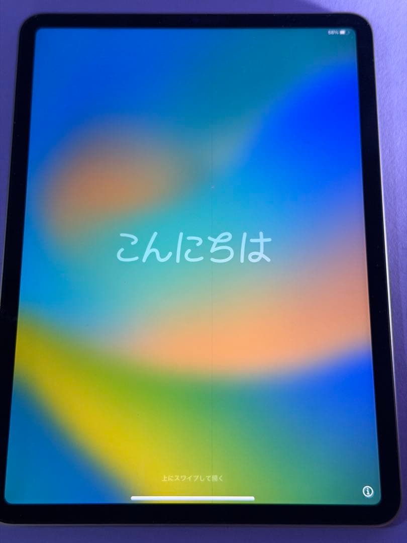 Apple iPad Pro (第4世代) 256GB wi-fiモデル