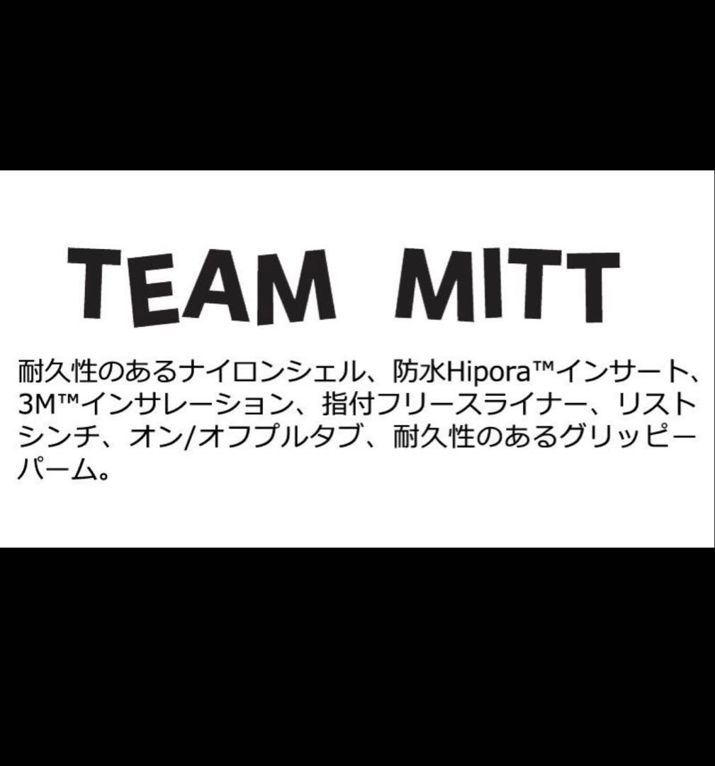 Salmon Arms Team Mitt グローブ サーモンアームズ