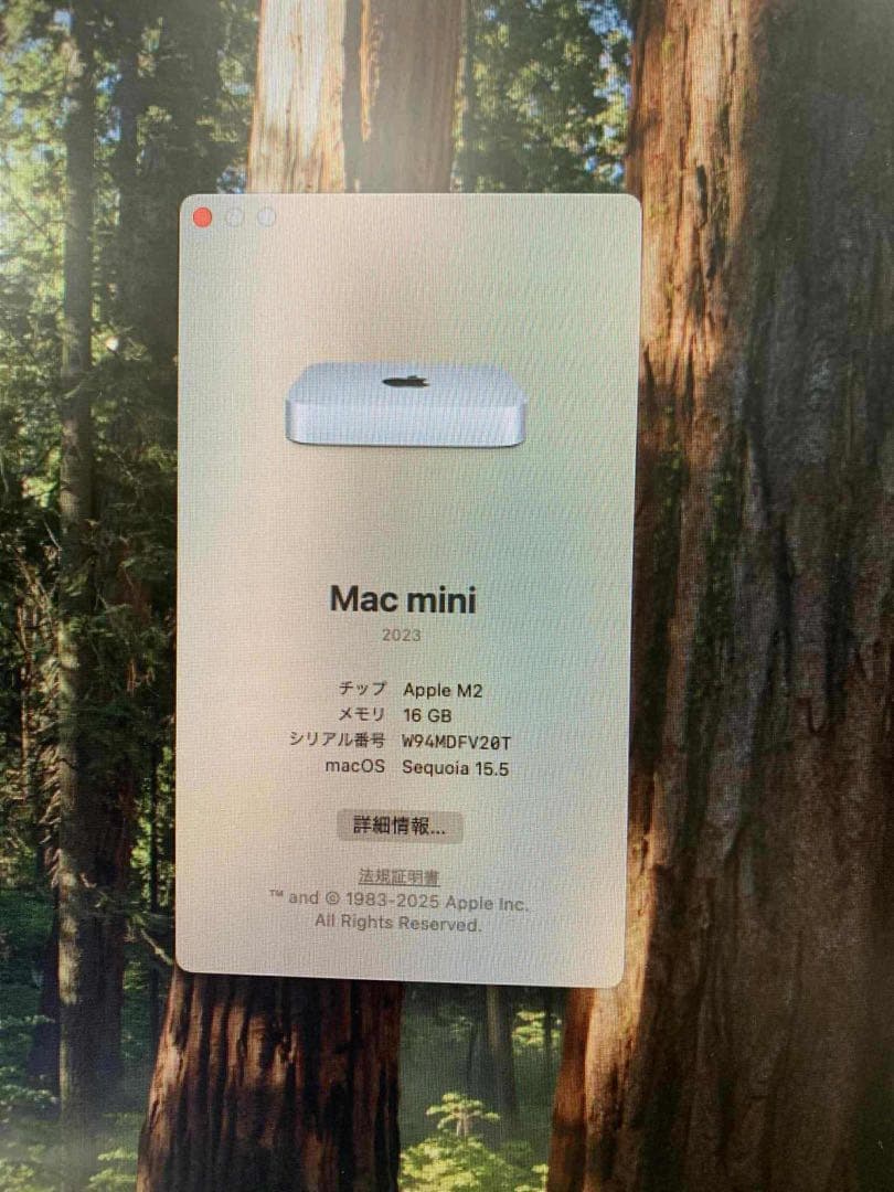 #817 Mac ミニ 2023 Apple M2 16GB SSD256GB