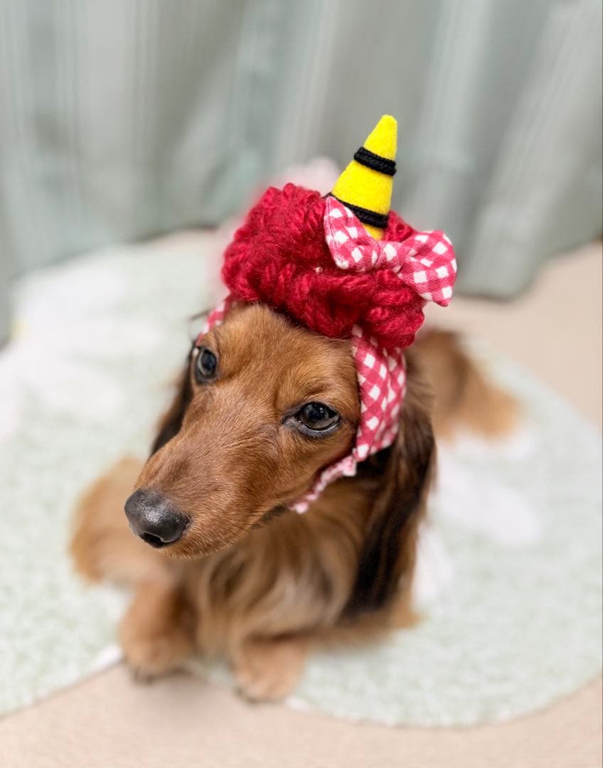 節分　カチューシャ　鬼　犬用　猫用　赤　帽子　コスチューム　コスプレ　鬼の角