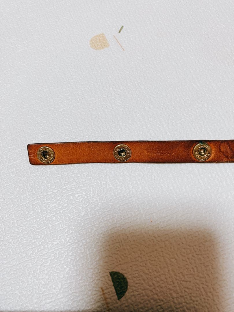 LOUIS VUITTON モノグラム ポシェットフロランティーヌM51855