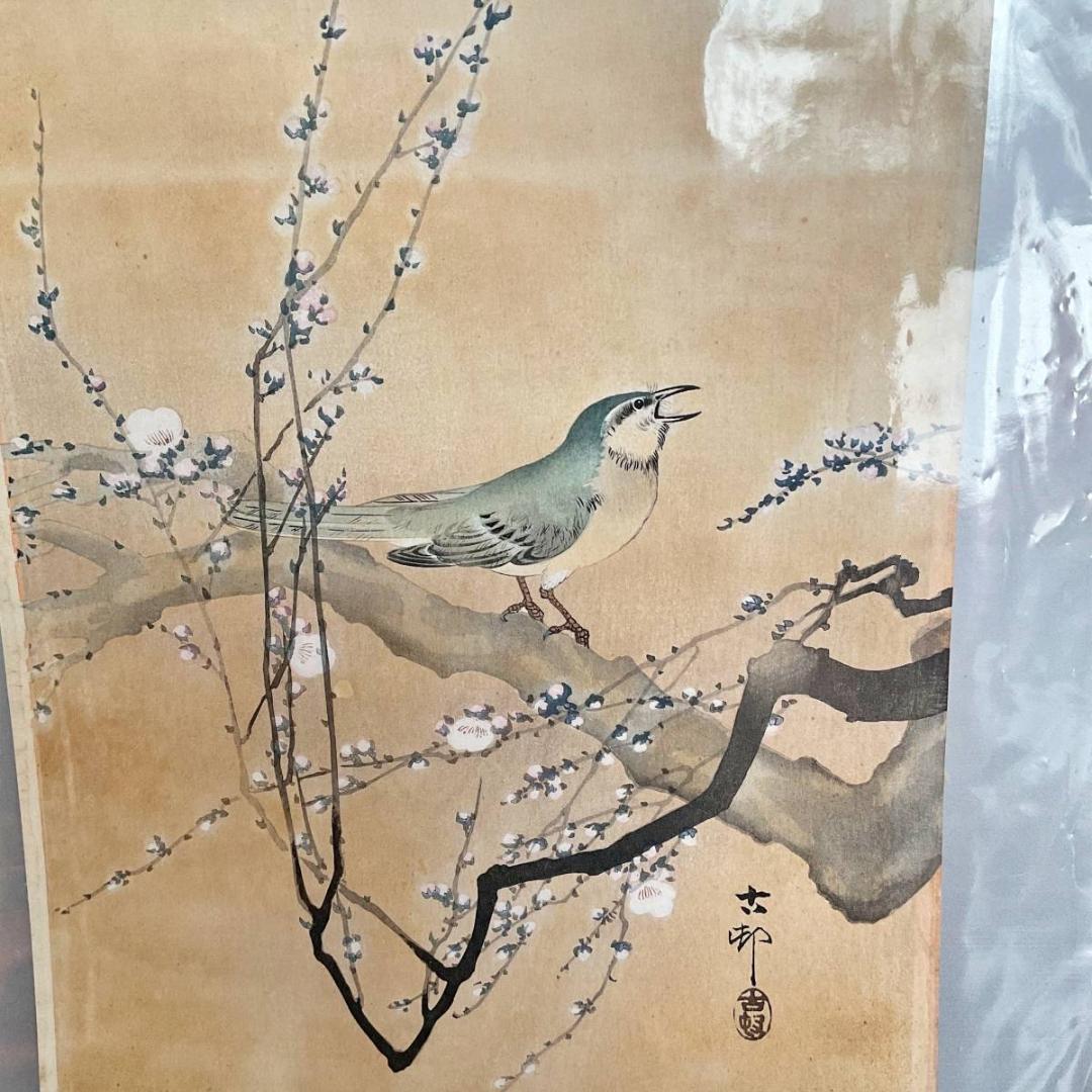 小原古邨 祥邨 豊邨 『梅に鶯』 明治後期作 木版画 真作 美品 鳥 ウグイス