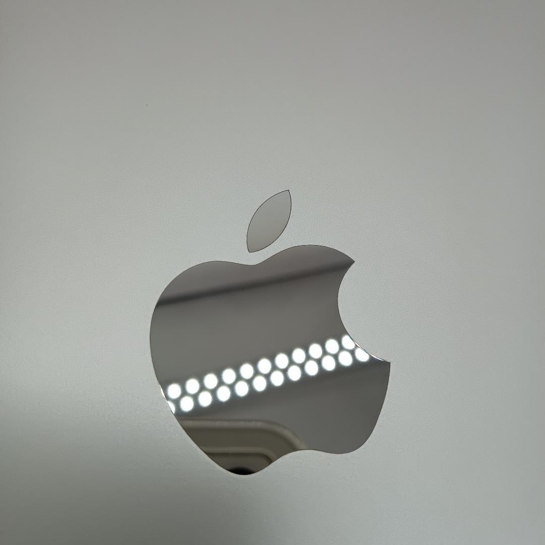 美品 iPad mini4 16GB Wi-Fi + Cellular ゴールド