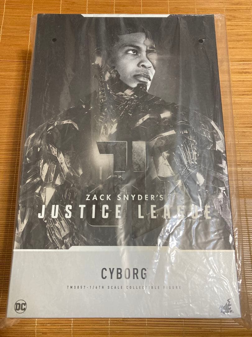 ホットトイズ テレビ・マスターピース サイボーグ TMS057